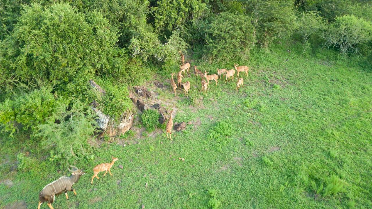 Zululand Lodge Hluhluwe Bagian luar foto