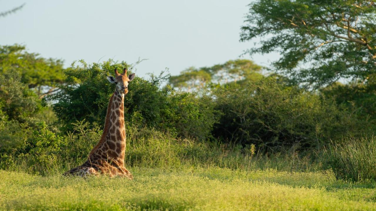 Zululand Lodge Hluhluwe Bagian luar foto